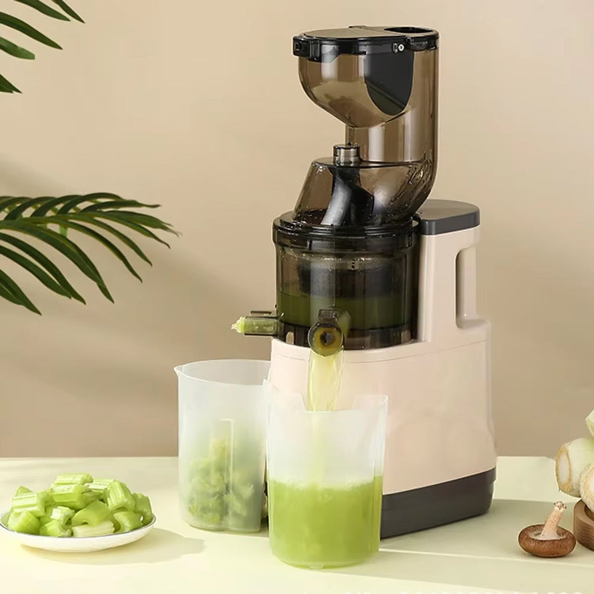 JuiCiento Extracteur De Jus De Fruits Et Légumes