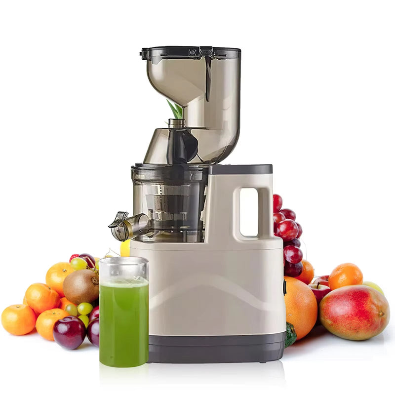 JuiCiento Extracteur De Jus De Fruits Et Légumes