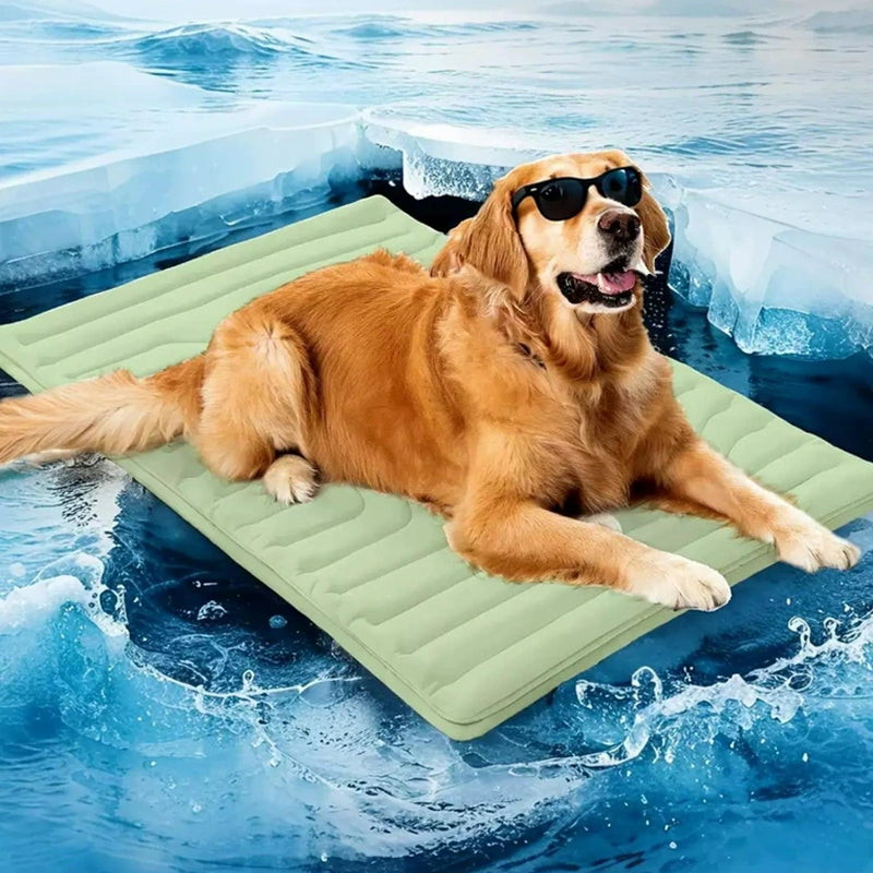 PawFroste Tapis Rafraichissant Pour Grand Chien