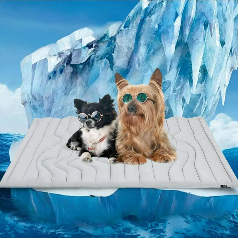 PawFroste Tapis Rafraichissant Pour Grand Chien