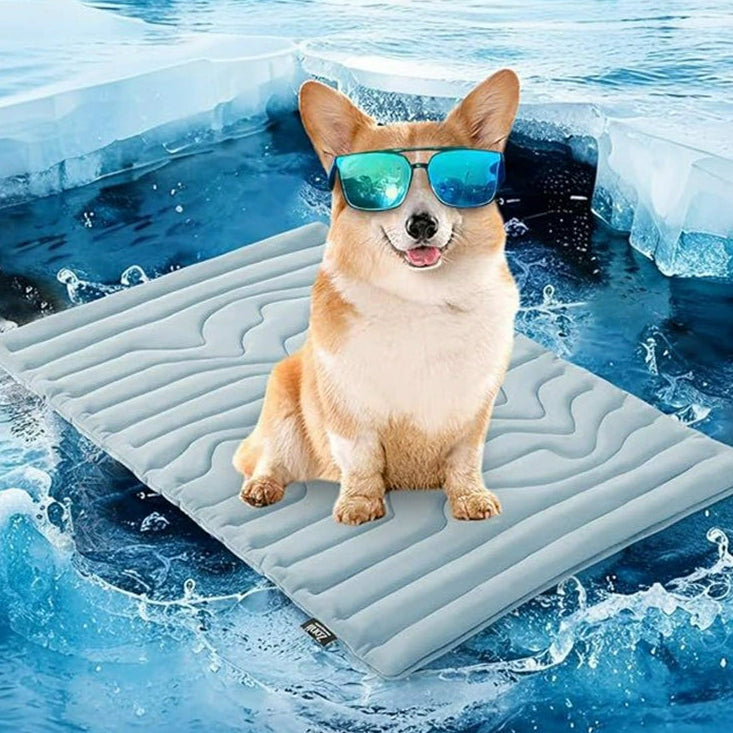 PawFroste Tapis Fraicheur Chien