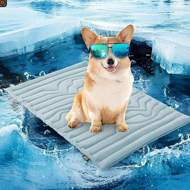 PawFroste Tapis Rafraichissant Pour Grand Chien