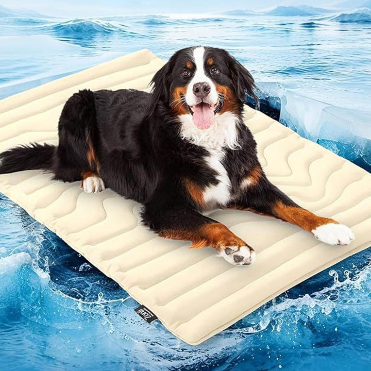 PawFroste Tapis Fraicheur Chien