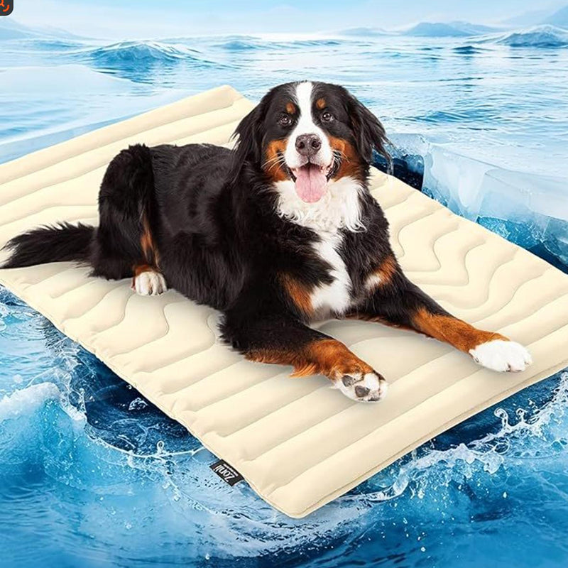 PawFroste Tapis Rafraichissant Pour Grand Chien