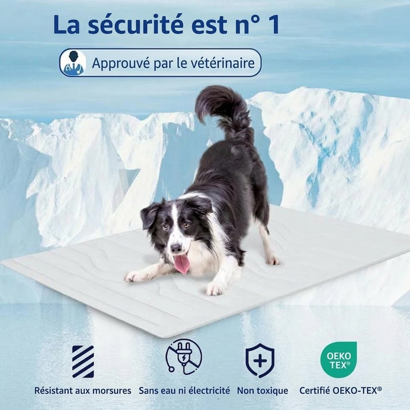 PawFroste Tapis Fraicheur Chien