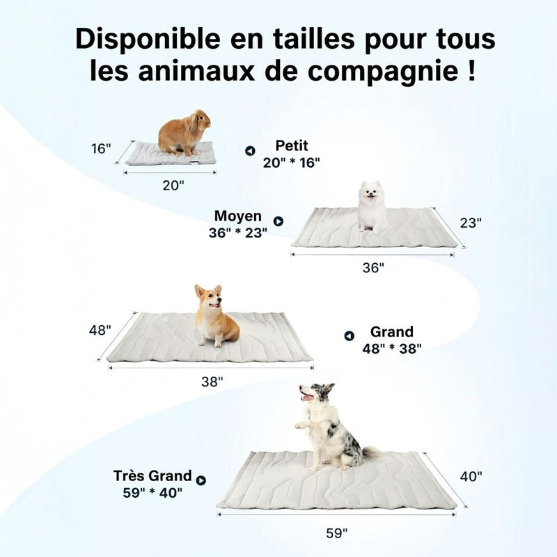 PawFroste Tapis Fraicheur Chien