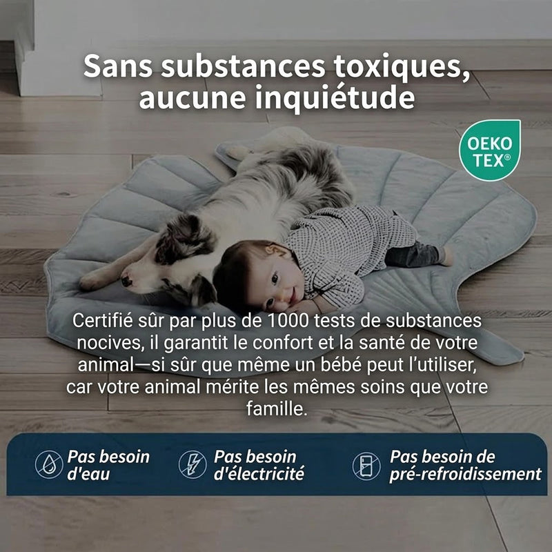 PawFroste Tapis Fraicheur Chien