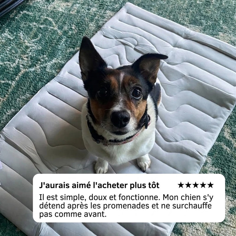 PawFroste Tapis Rafraichissant Pour Grand Chien