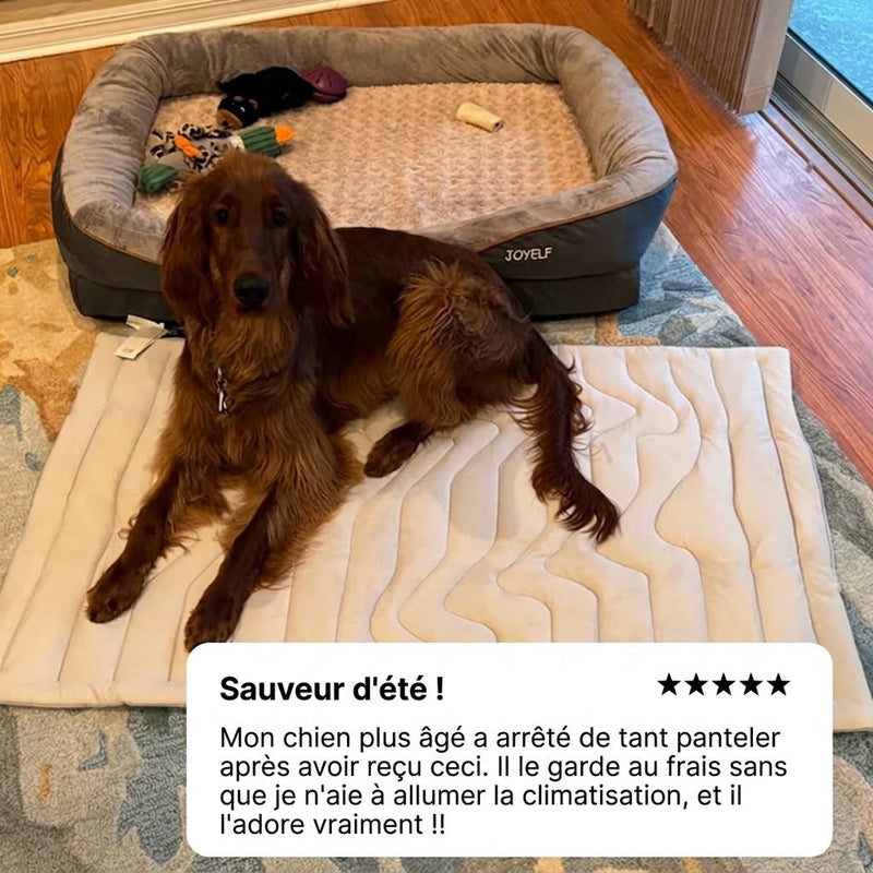 PawFroste Tapis Fraicheur Chien
