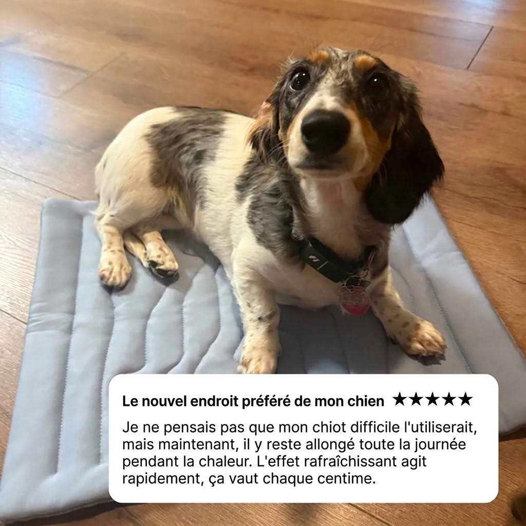 PawFroste Tapis Rafraichissant Pour Grand Chien