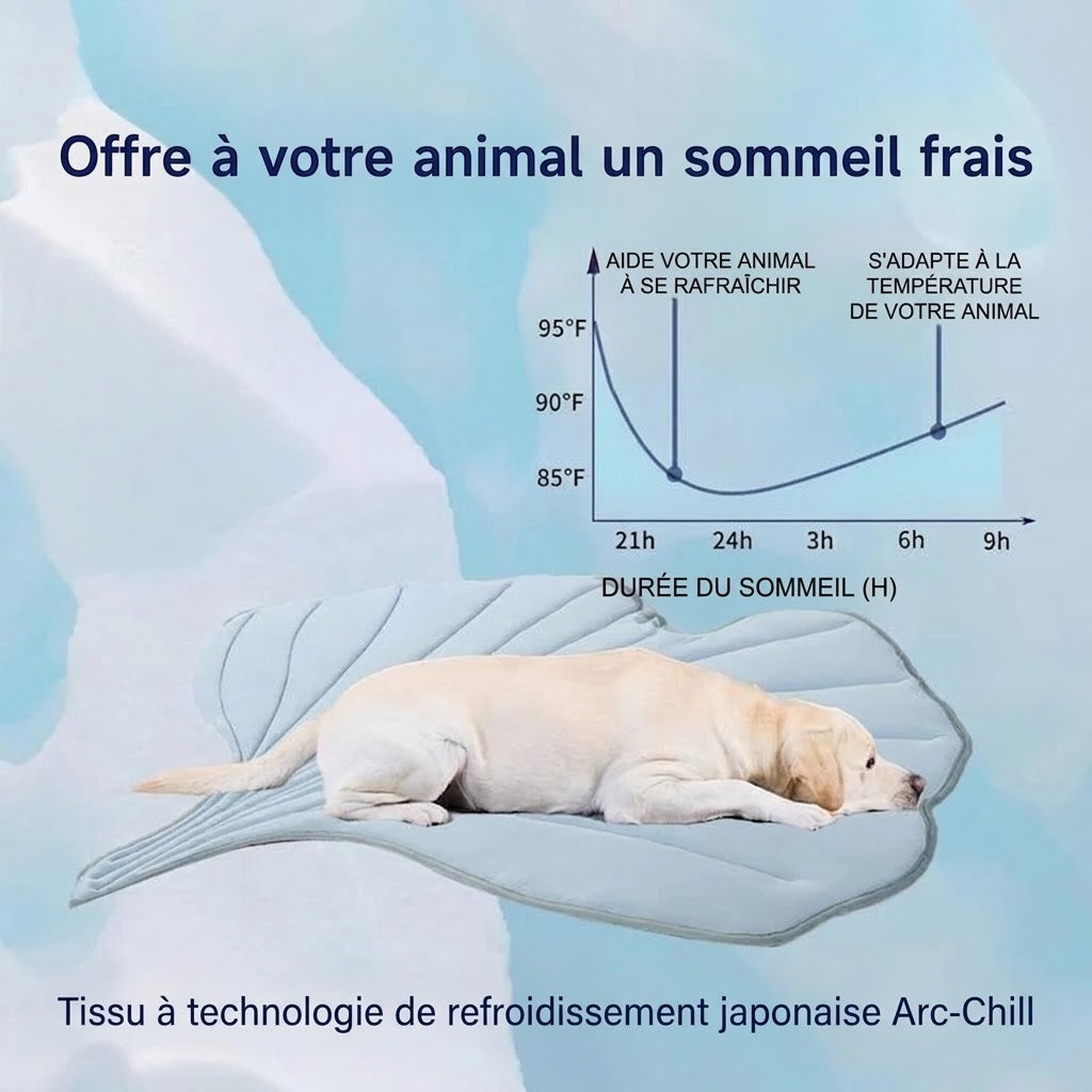 PawFroste Tapis Rafraichissant Pour Grand Chien