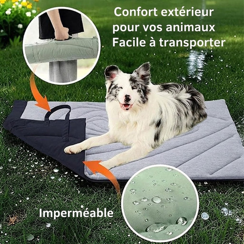 PawFroste Tapis Fraicheur Chien
