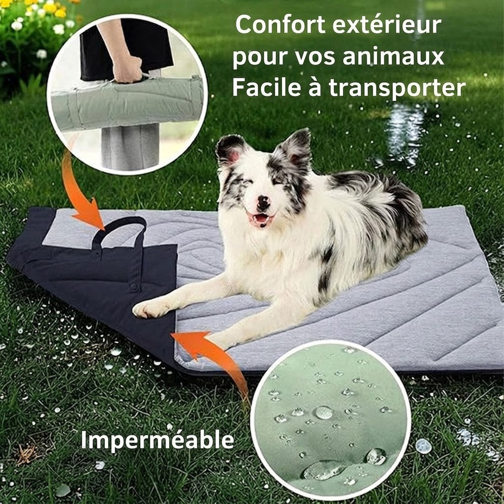 PawFroste Tapis Rafraichissant Pour Grand Chien