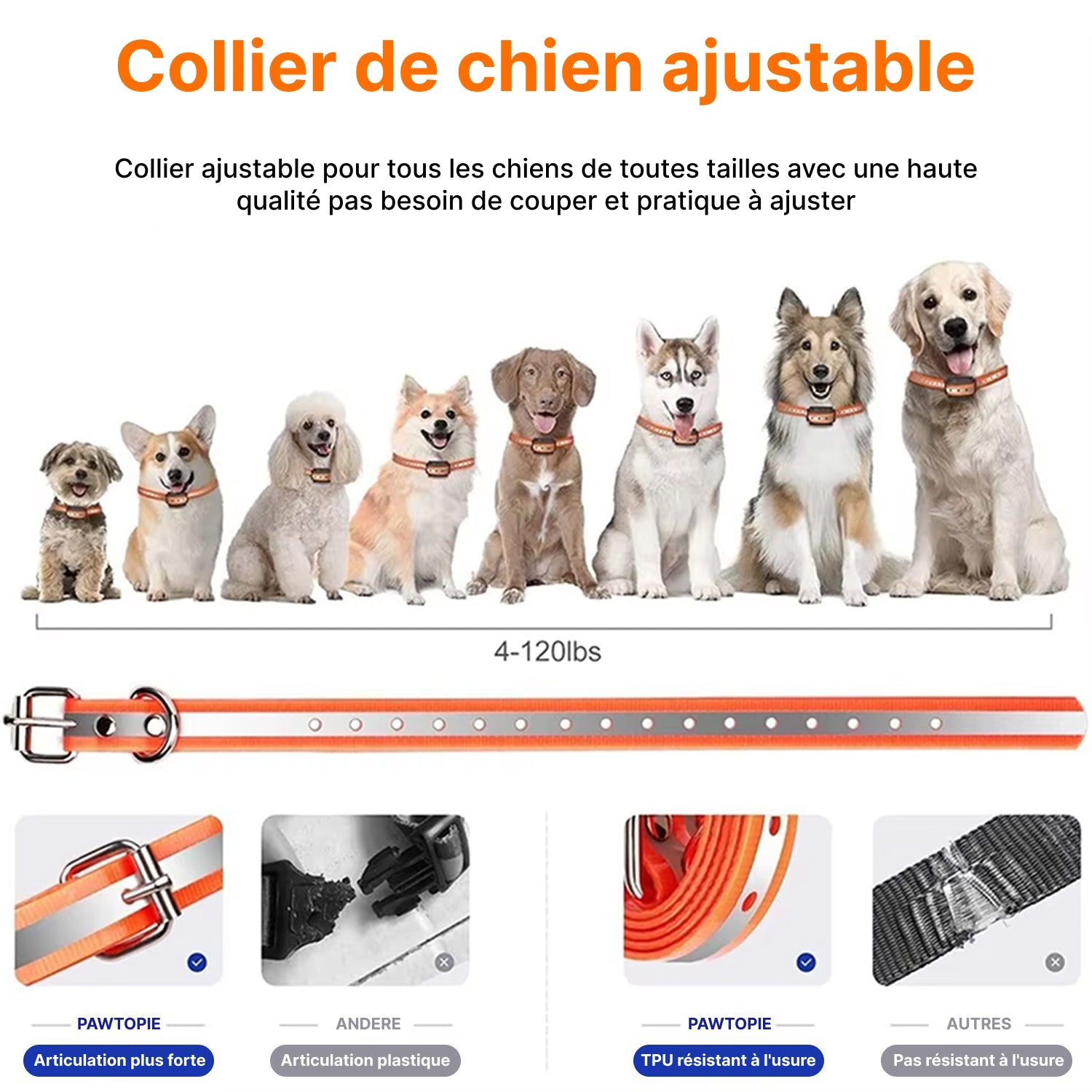 Pawtopie Collier de Dressage Pour Chien