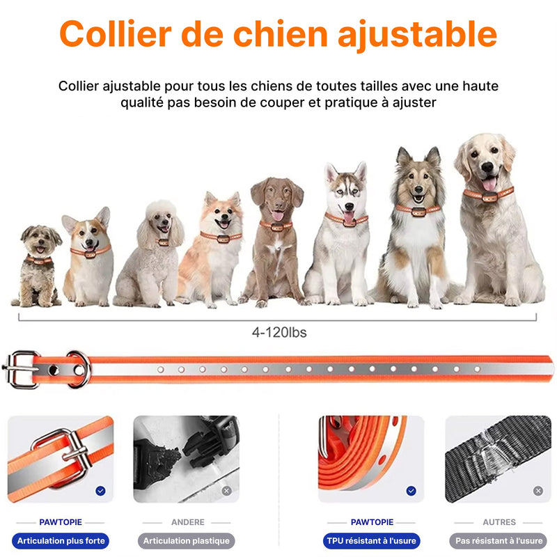 Pawtopie Collier de Dressage Pour Chien