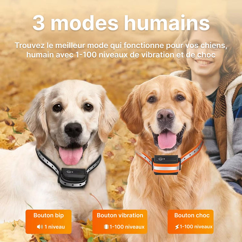 Pawtopie Collier de Dressage Pour Chien