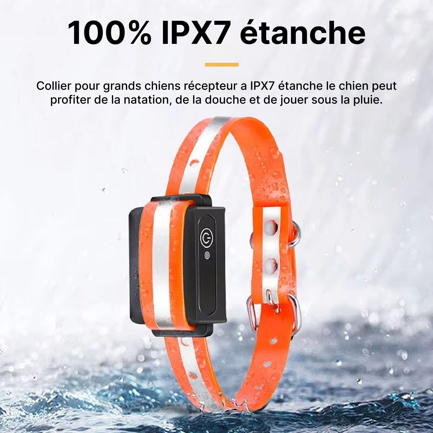 Pawtopie Collier de Dressage Pour Chien