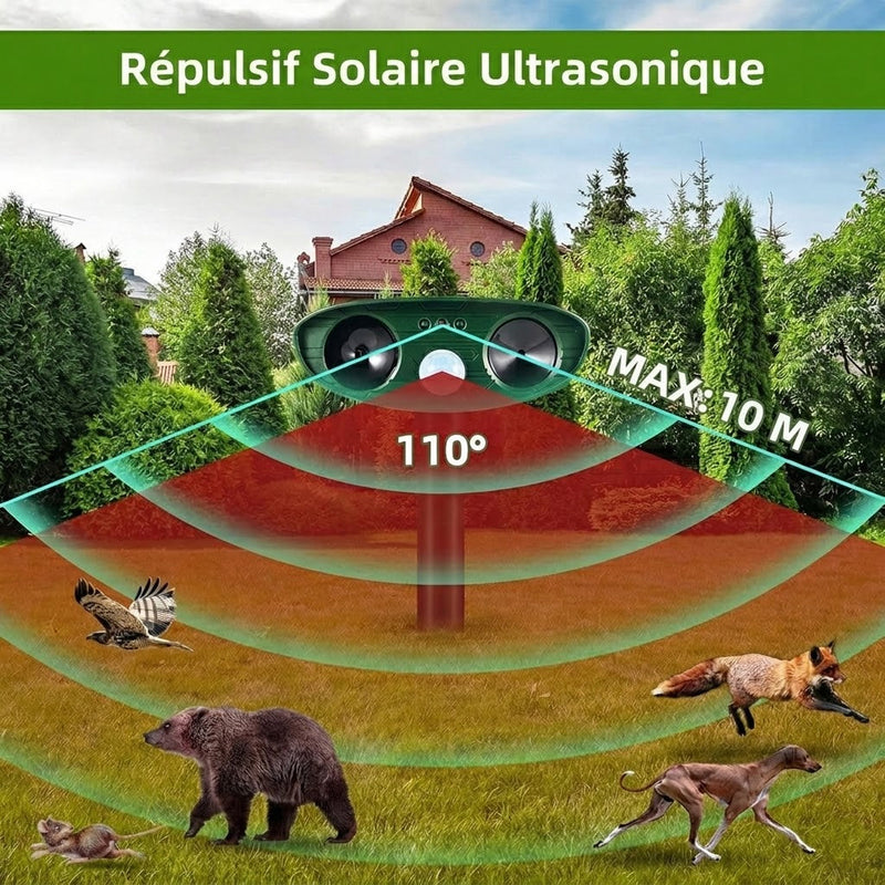 PestiqPaw Répulsif Chat Ultrason