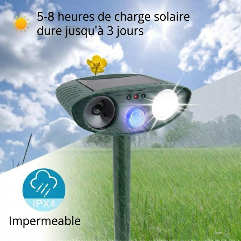 PestiqPaw Répulsif Chat Ultrason