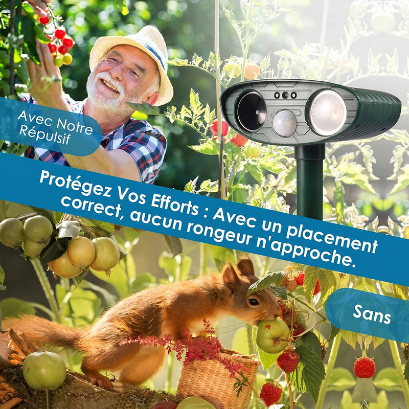 PestiqPaw Répulsif Chat Ultrason