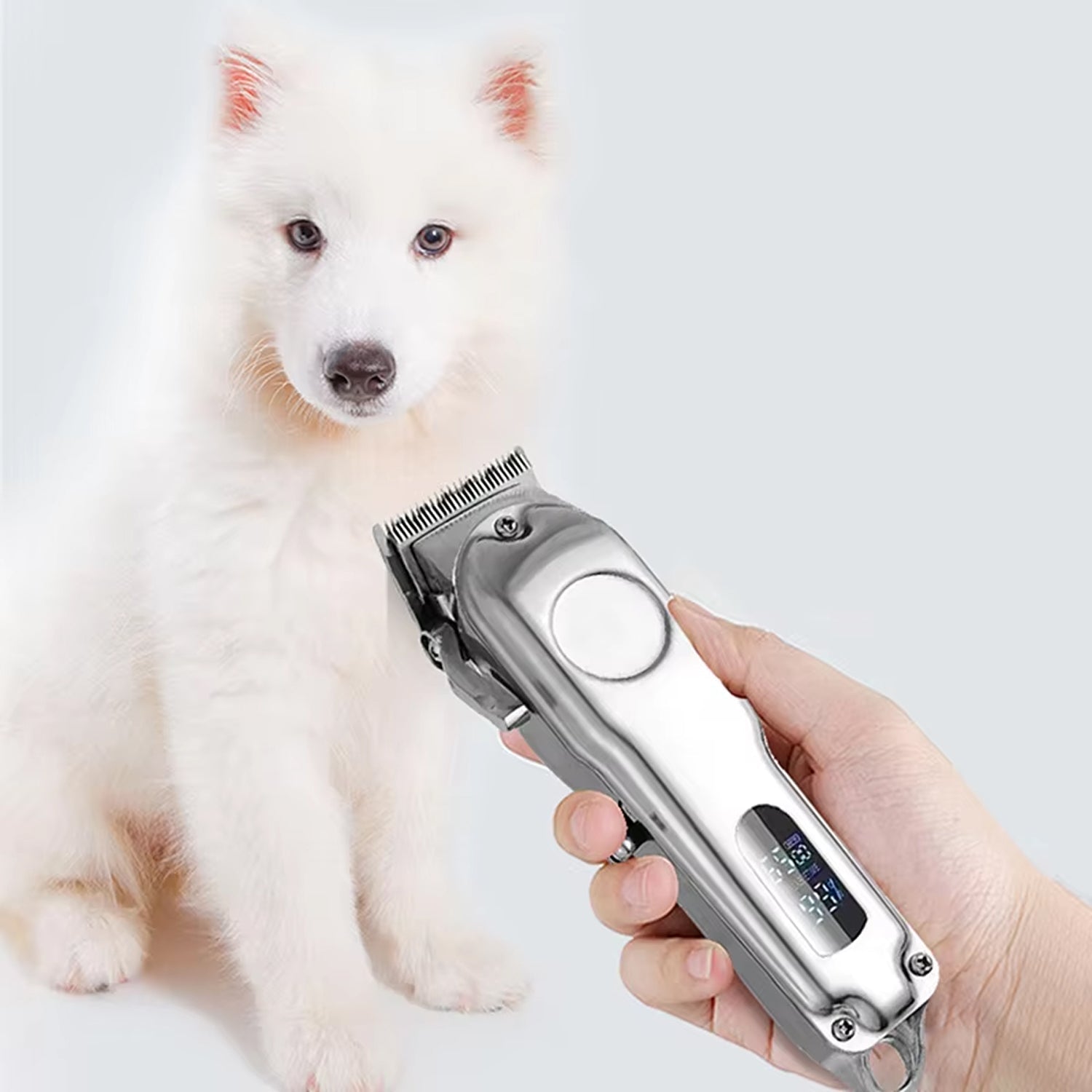 PupiRolex Tondeuse Silencieuse Pour Chien