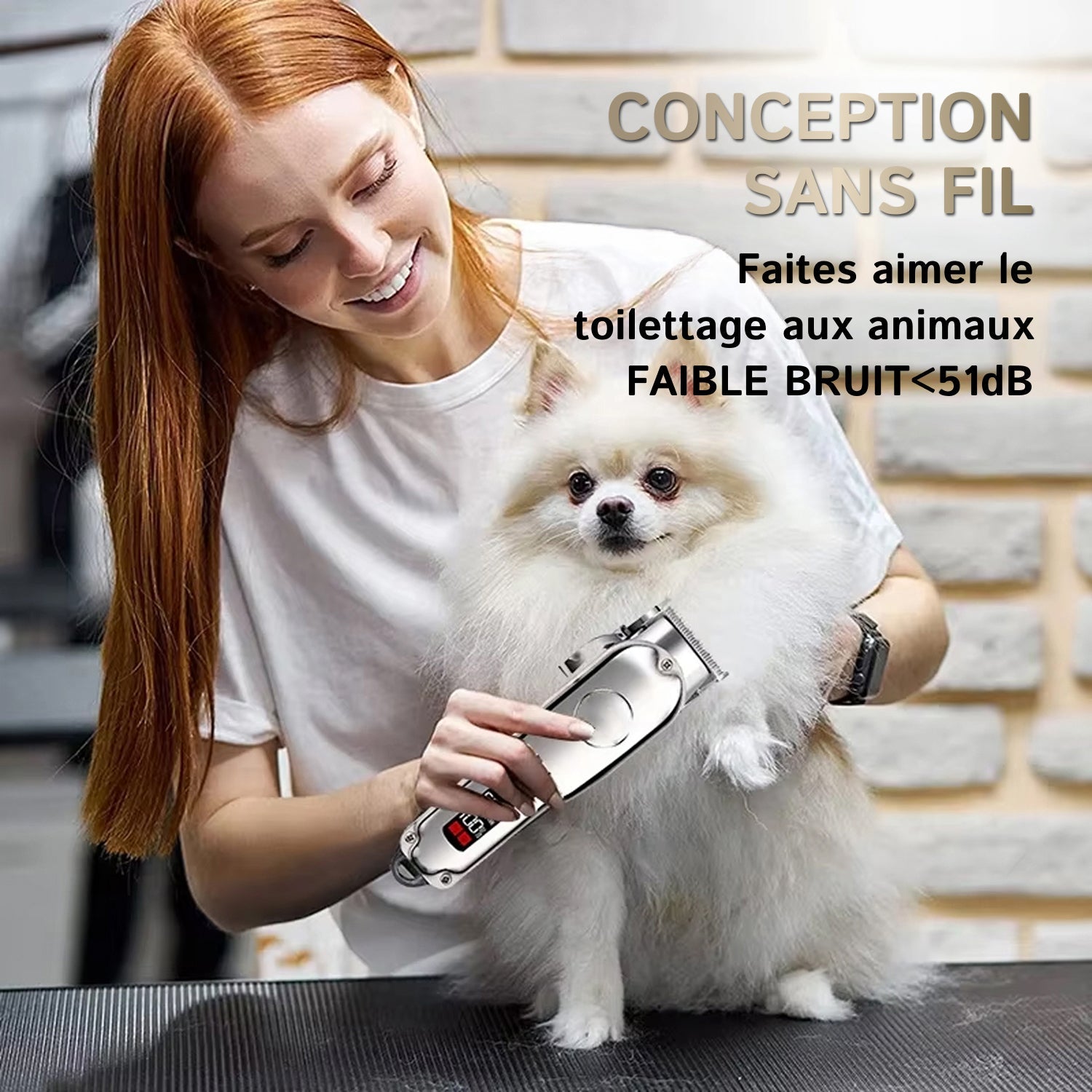 PupiRolex Tondeuse Silencieuse Pour Chien