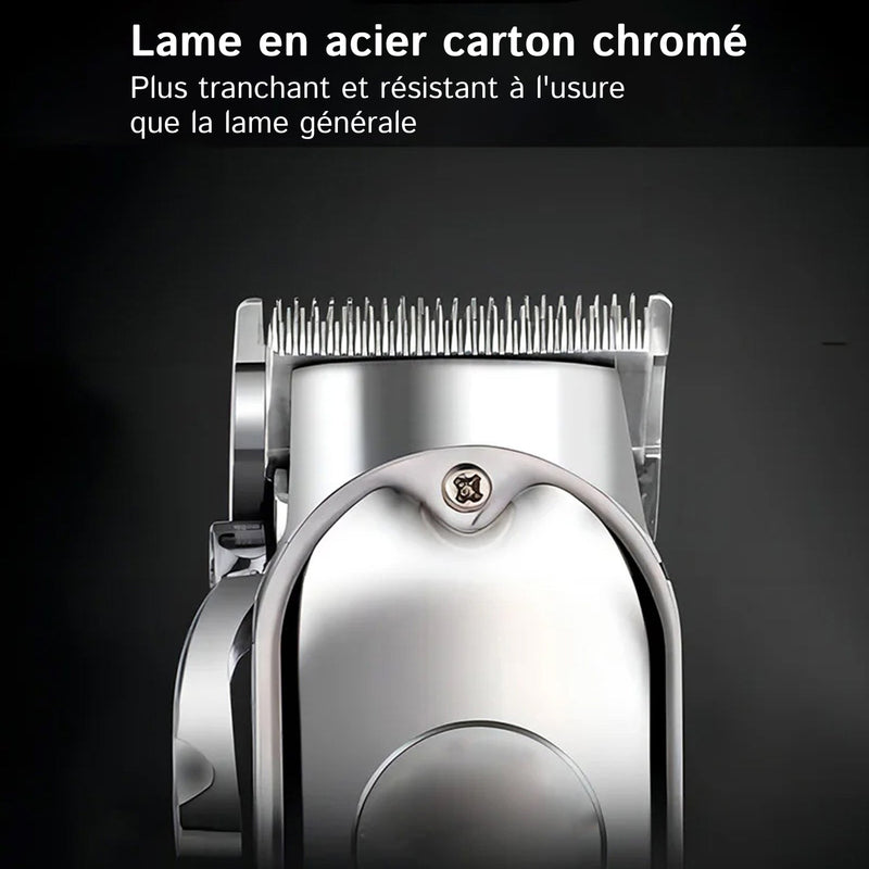 PupiRolex Tondeuse Professionnelle Pour Chien Poil Laineux
