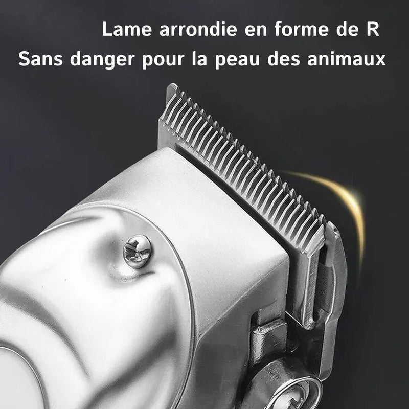 PupiRolex Tondeuse Silencieuse Pour Chien
