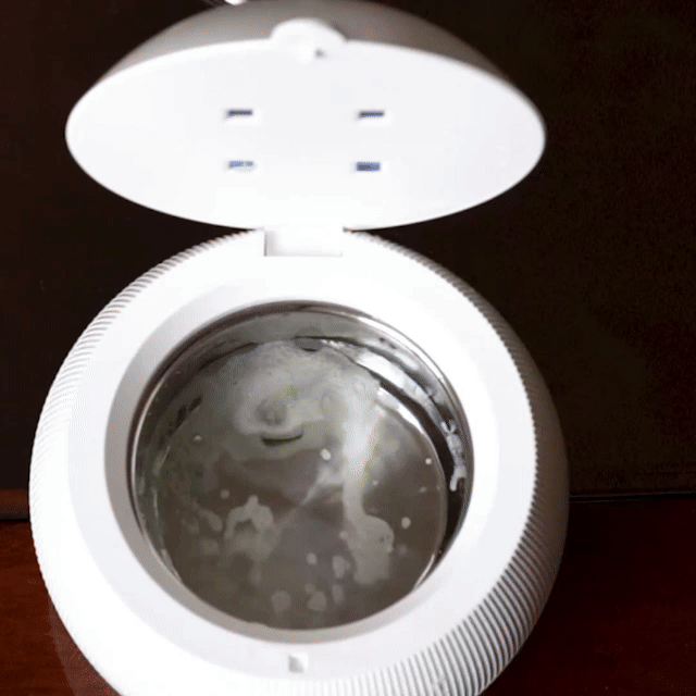 Purepesty Dental Pod