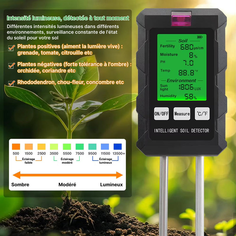 Rootabest Testeur Humidité Plante