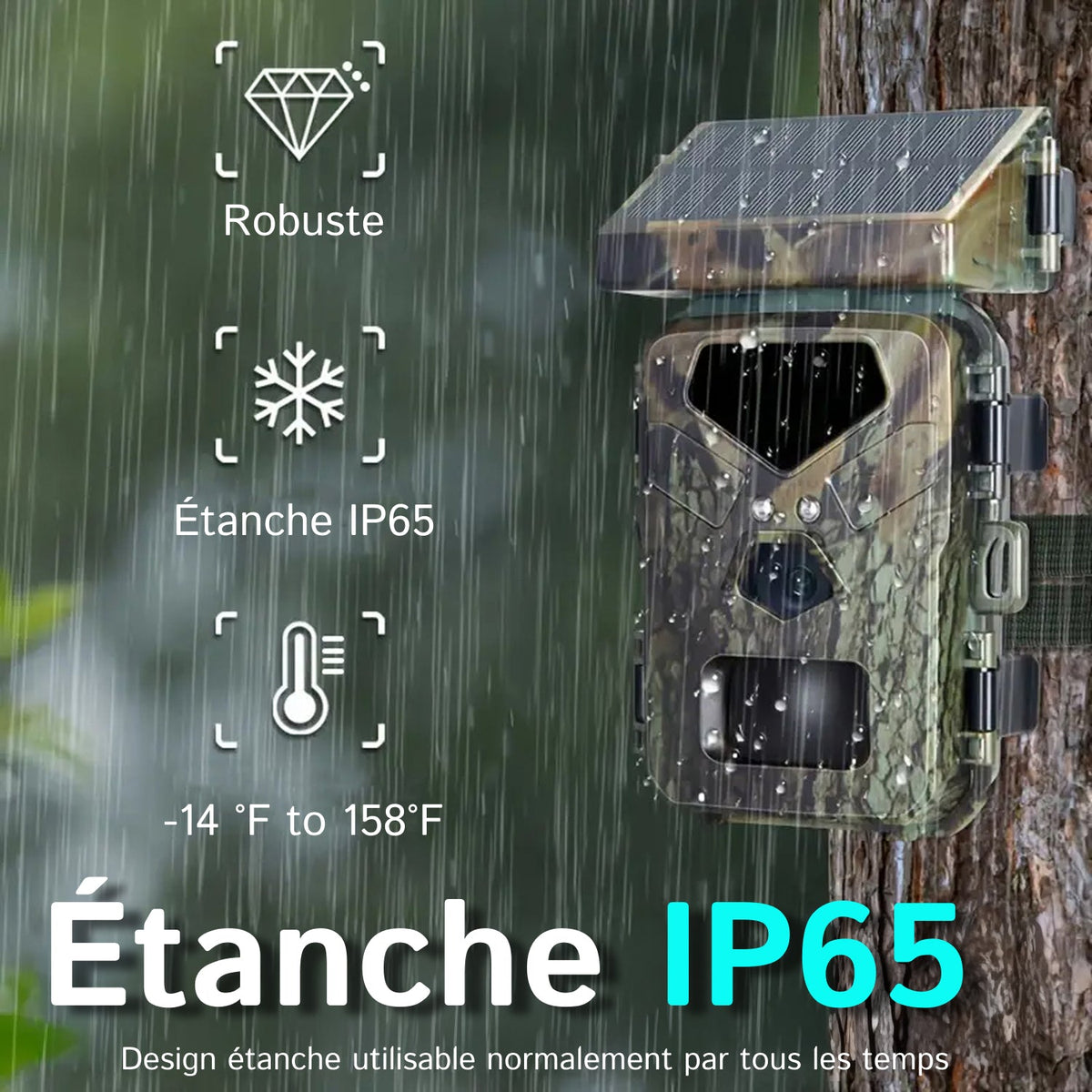 SolCamark Caméra de Chasse Solaire