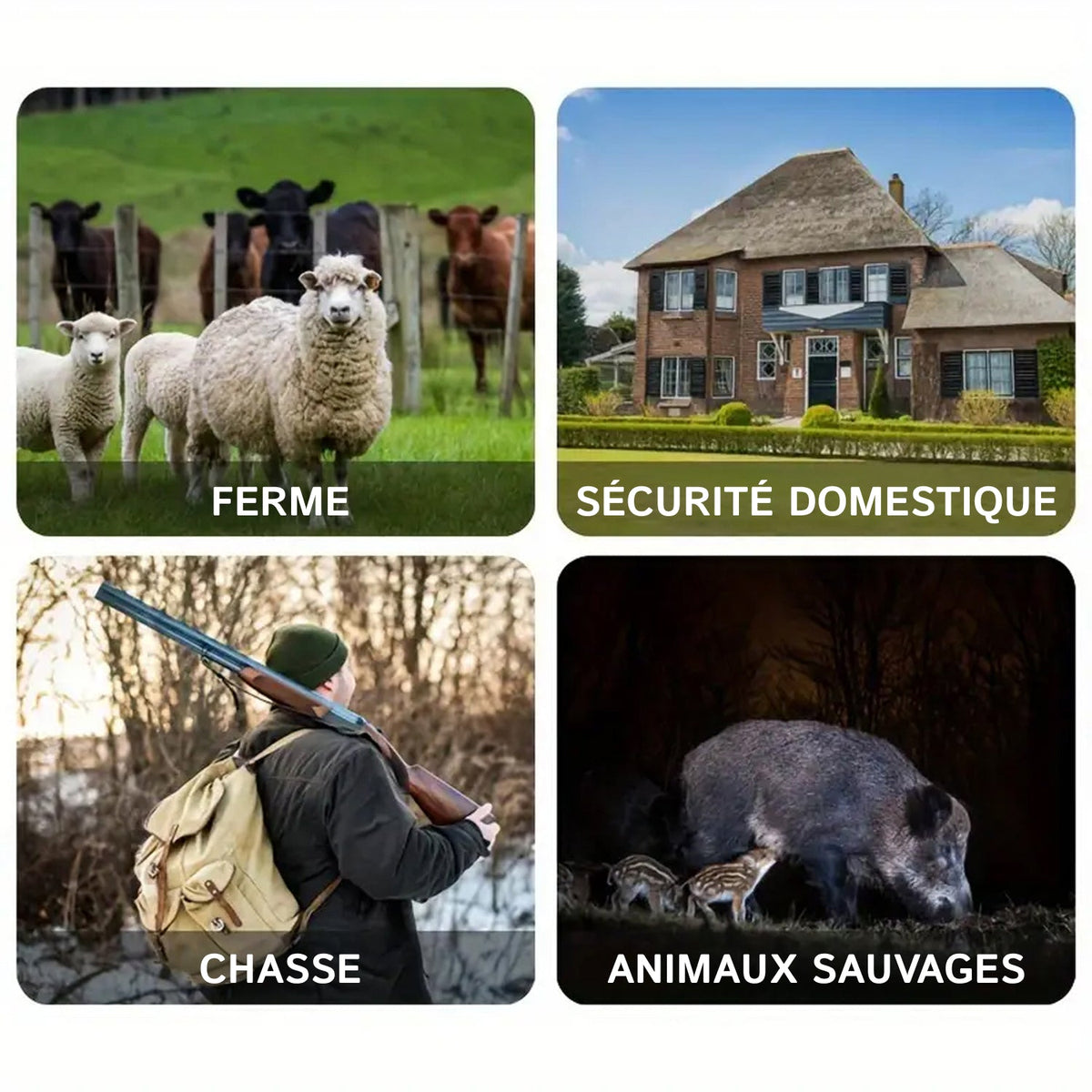 SolCamark Caméra de Chasse Solaire