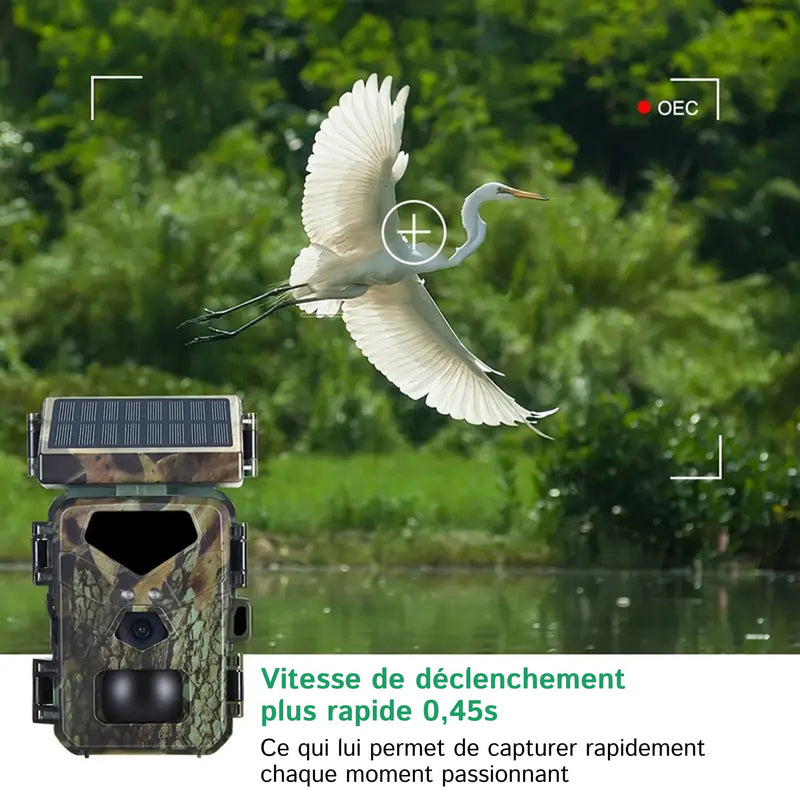 SolCamark Caméra de Chasse Solaire
