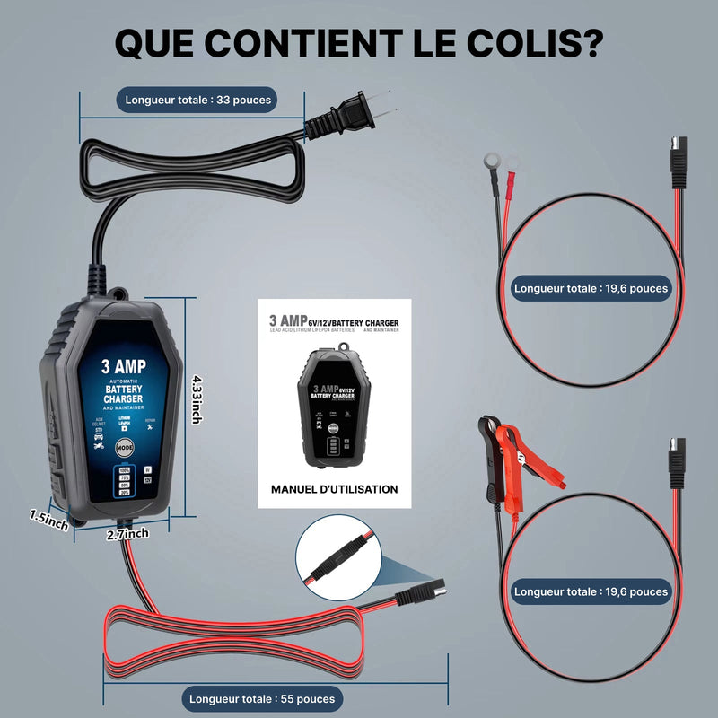 Voltebax Mainteneur de Charge Batterie Voiture