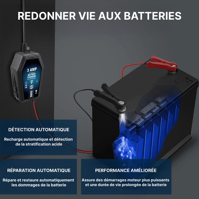 Voltebax Mainteneur de Charge Batterie Voiture