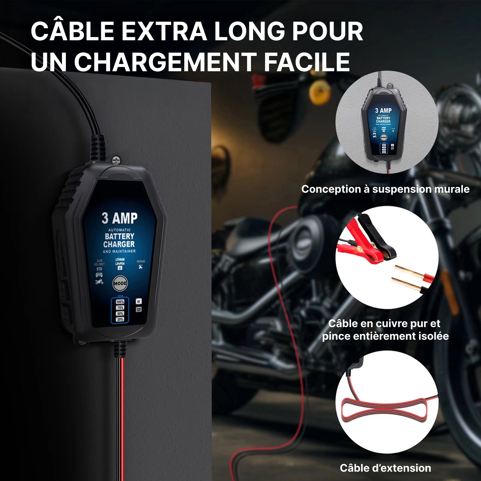 Voltebax Mainteneur de Charge Batterie Voiture