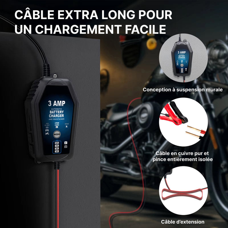 Voltebax Mainteneur de Charge Batterie Voiture