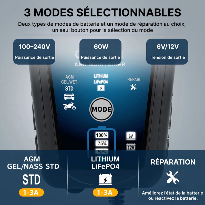 Voltebax Mainteneur de Charge Batterie Voiture