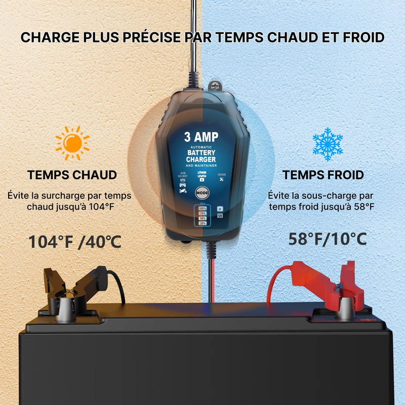 Voltebax Mainteneur de Charge Batterie Voiture