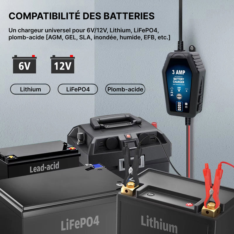 Voltebax Mainteneur de Charge Batterie Voiture